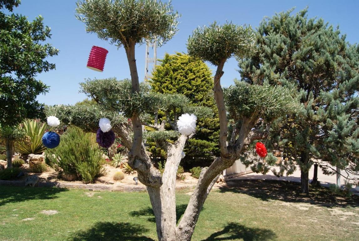 Daimés Los Jardines De Lola المظهر الخارجي الصورة