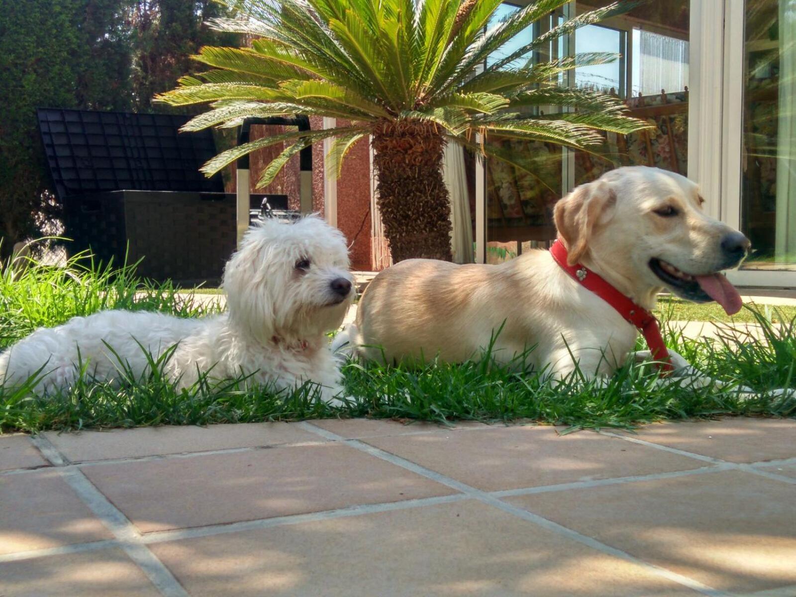 Daimés Los Jardines De Lola المظهر الخارجي الصورة