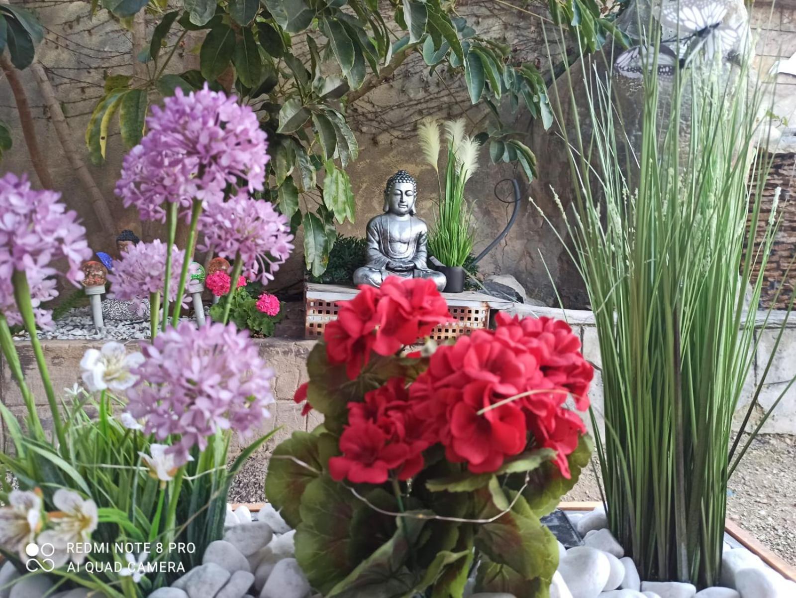Daimés Los Jardines De Lola المظهر الخارجي الصورة