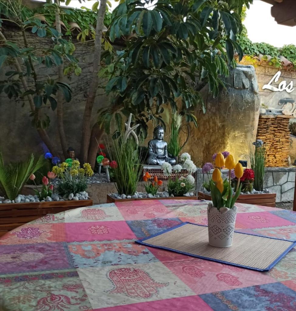 Daimés Los Jardines De Lola المظهر الخارجي الصورة