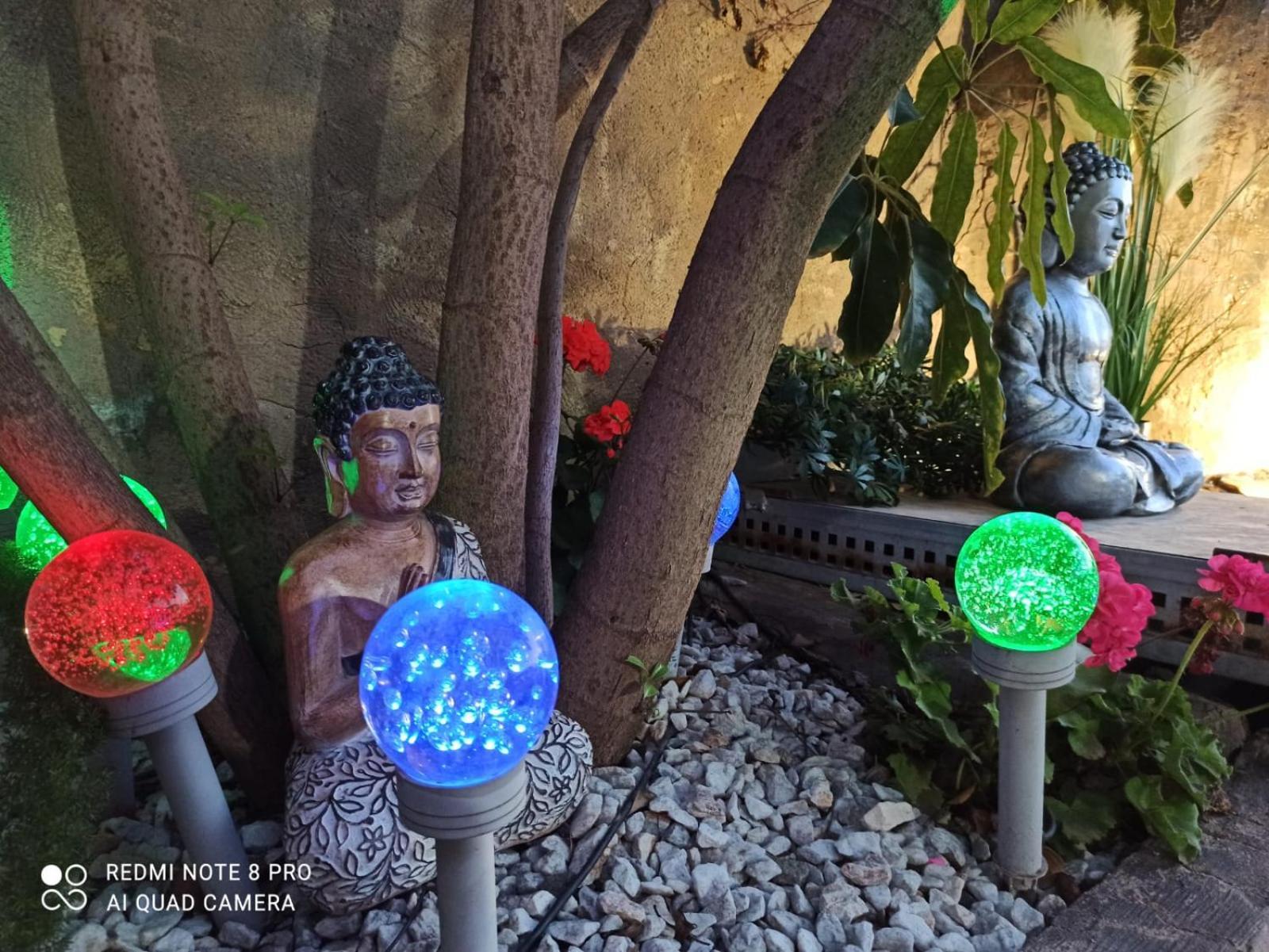 Daimés Los Jardines De Lola المظهر الخارجي الصورة